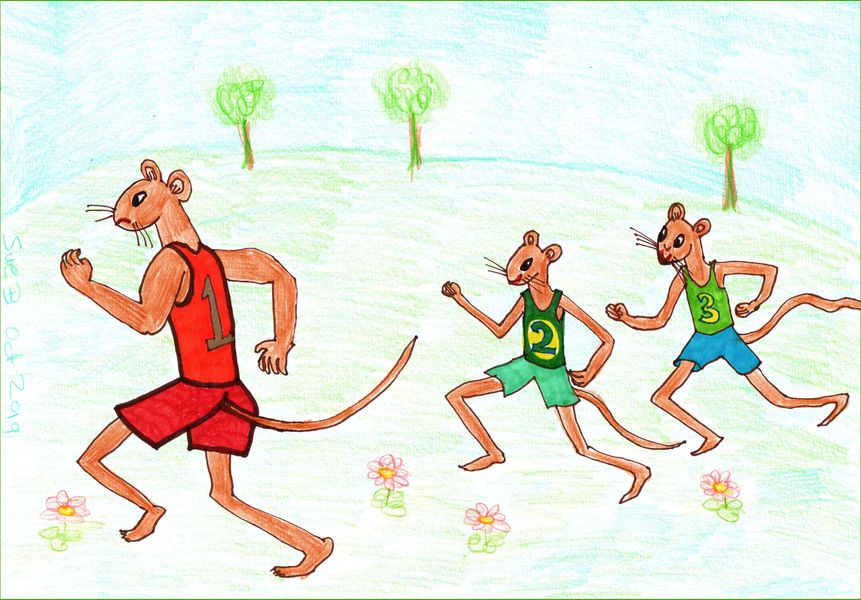 Three Fit Mice 2. A drawing by Sushila Burgess.
