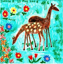 Pictures of swans, deer and more. By Sushila Burgess.
