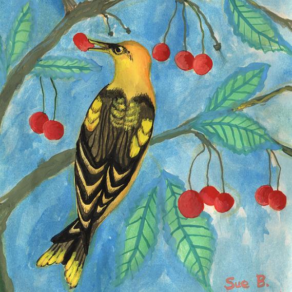 Golden Orioles in a Cherry Tree by Sushila Burgess