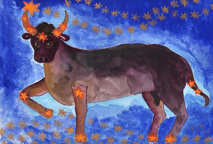 Star Sign Taurus by Sushila Burgess