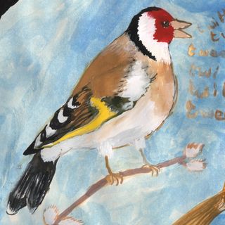 picture of a goldfinch